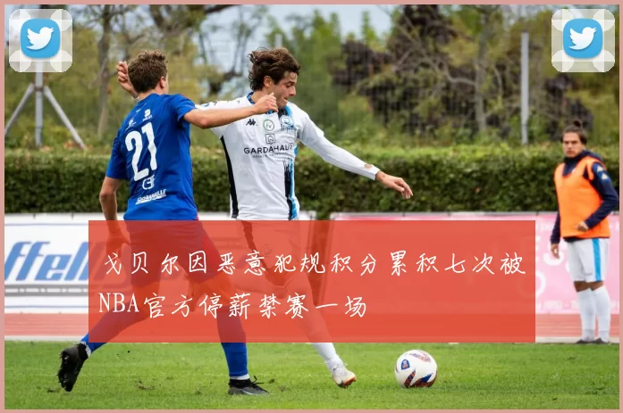 戈贝尔因恶意犯规积分累积七次被NBA官方停薪禁赛一场